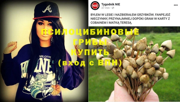 винт Бронницы