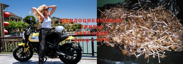 первитин Бородино