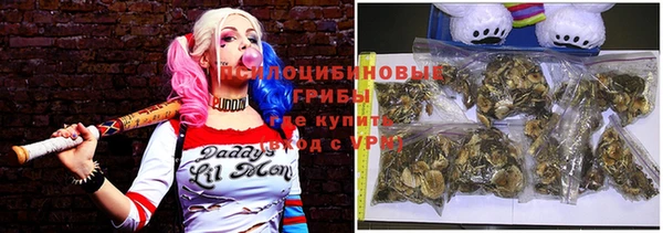 винт Бронницы