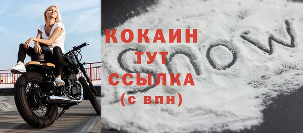 винт Бронницы