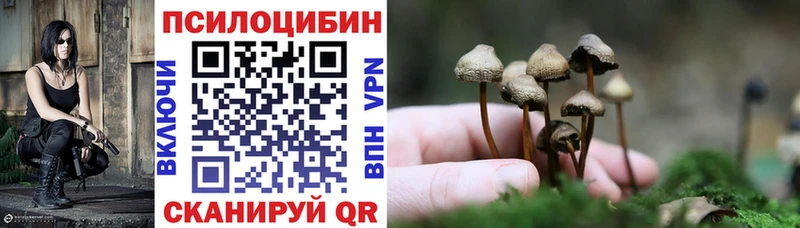 Галлюциногенные грибы Psilocybe Ростов