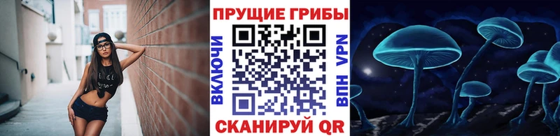 Псилоцибиновые грибы прущие грибы  Ростов 
